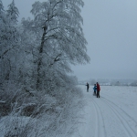 harter Winter 2010